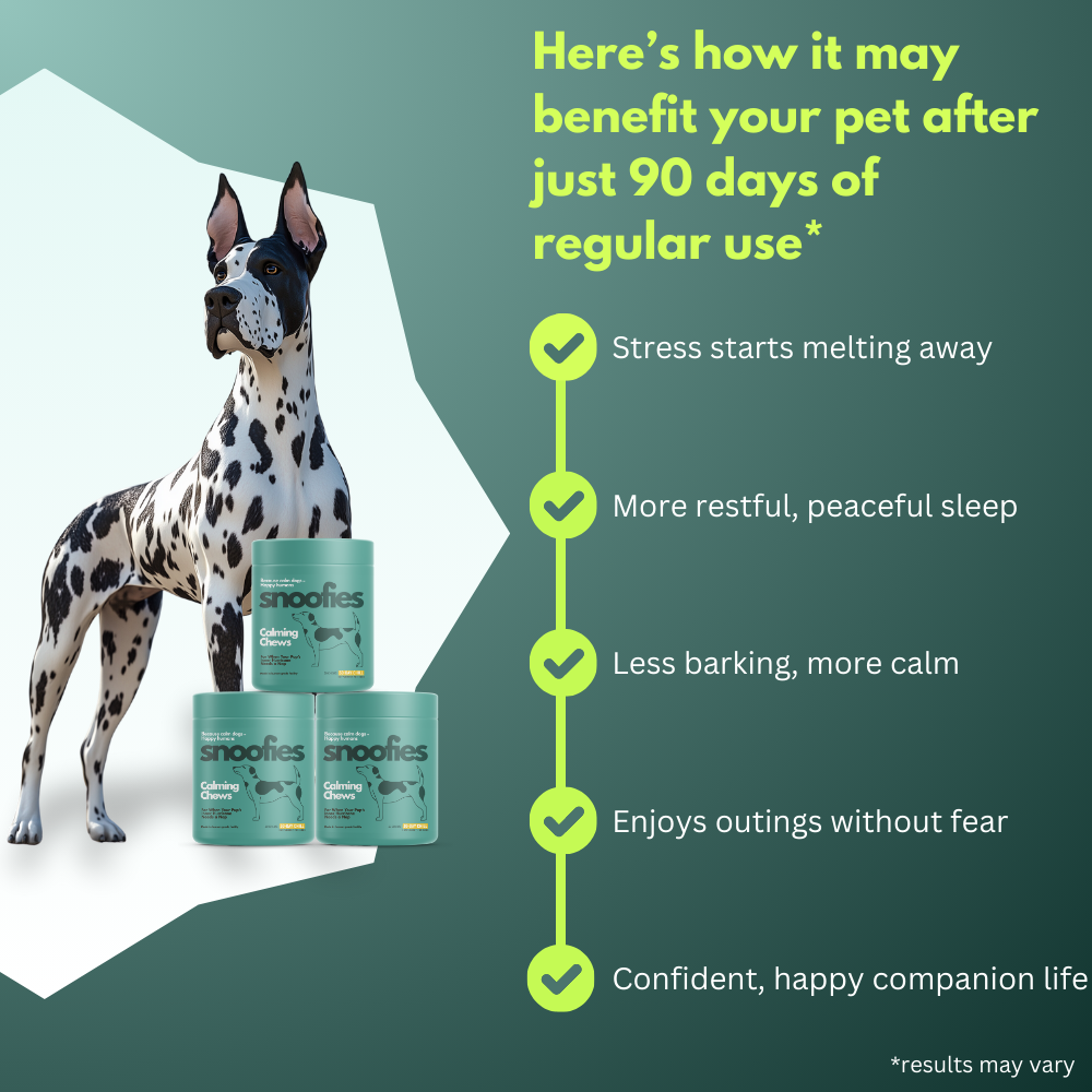 Calming Chew