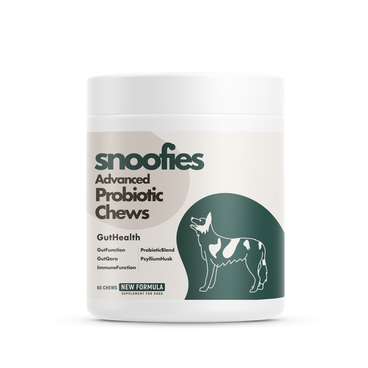 Probiotic │ Advanced Probiotic Chews: Unlock Total Gut Health for Your Dog!