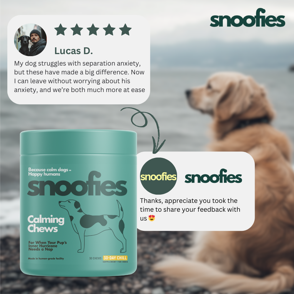 Calming Chew │ Chill Mode Activated: Snoofies Calming Chews for Happy, Relaxed Dogs!