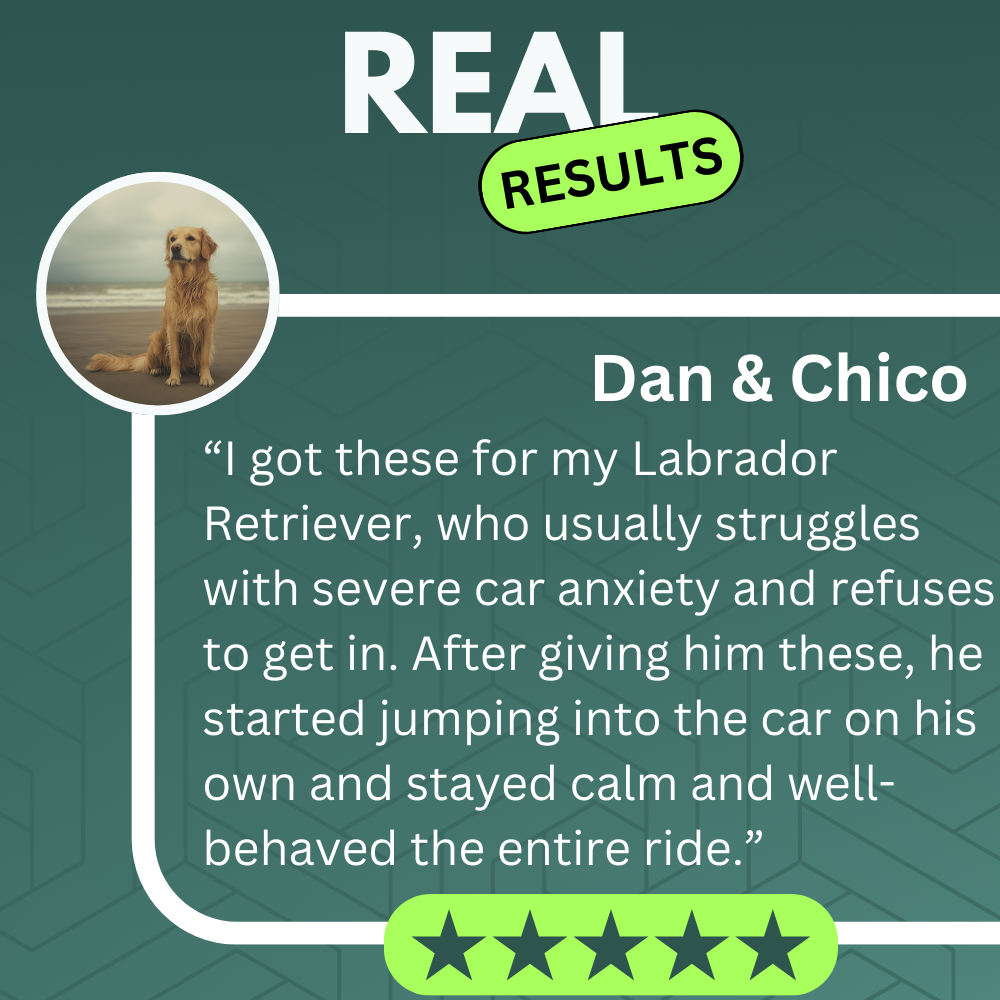 Calming Chew │ Chill Mode Activated: Snoofies Calming Chews for Happy, Relaxed Dogs!